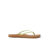 Cushion Slim